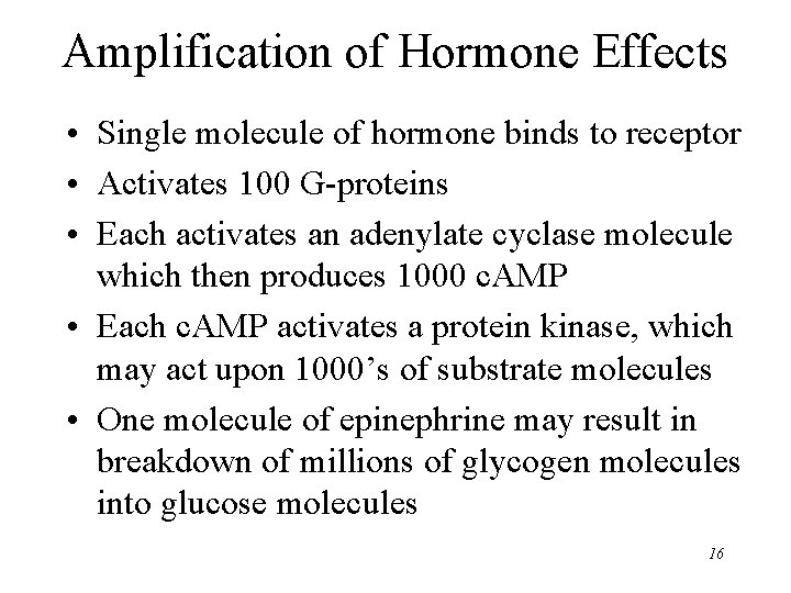 Amplification of Hormone Effects • Single molecule of hormone binds to receptor • Activates