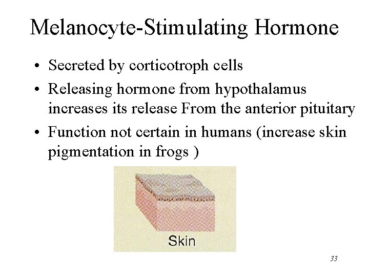 Melanocyte-Stimulating Hormone • Secreted by corticotroph cells • Releasing hormone from hypothalamus increases its