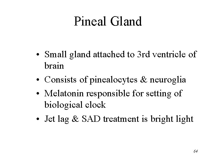 Pineal Gland • Small gland attached to 3 rd ventricle of brain • Consists