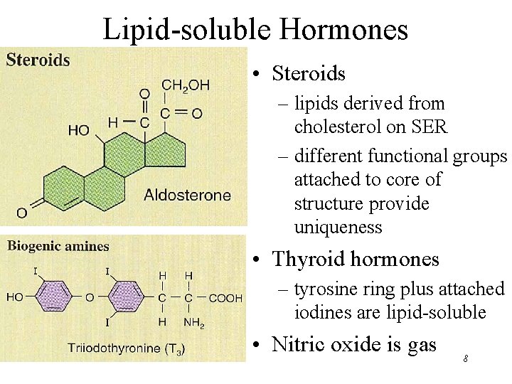 Lipid-soluble Hormones • Steroids – lipids derived from cholesterol on SER – different functional