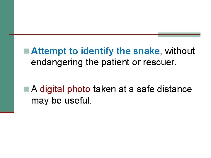 n Attempt to identify the snake, without endangering the patient or rescuer. n A