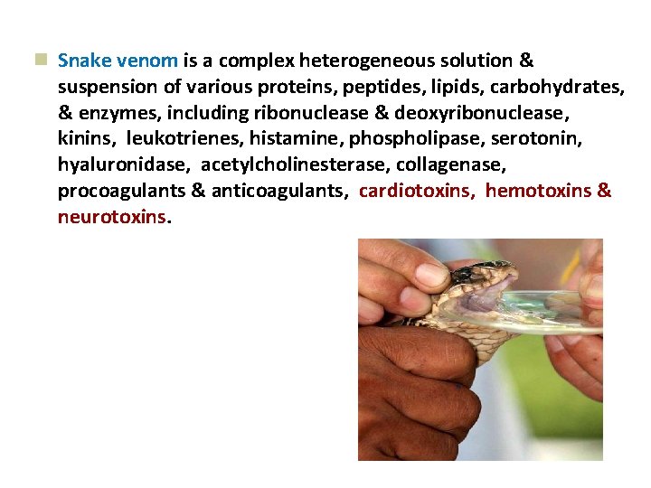 n Snake venom is a complex heterogeneous solution & suspension of various proteins, peptides,