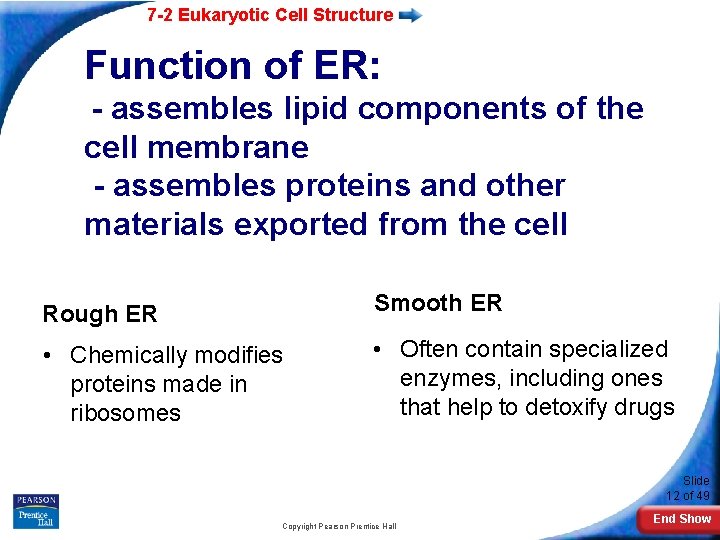 7 -2 Eukaryotic Cell Structure Function of ER: - assembles lipid components of the