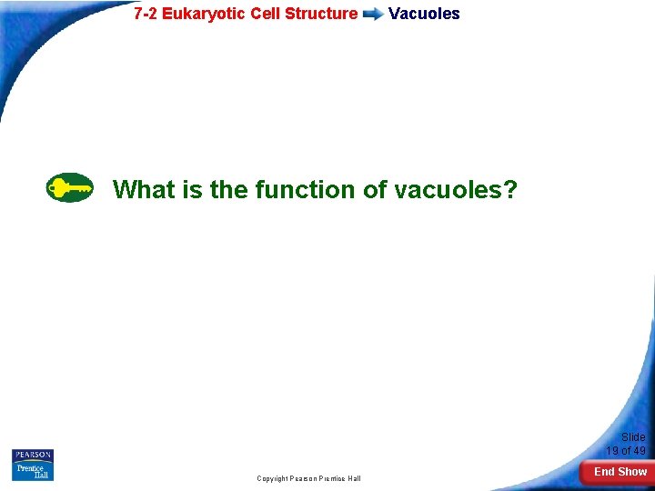 7 -2 Eukaryotic Cell Structure Vacuoles What is the function of vacuoles? Slide 19