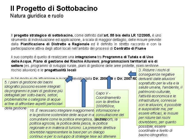 Il Progetto di Sottobacino Natura giuridica e ruolo Il progetto strategico di sottobacino, come