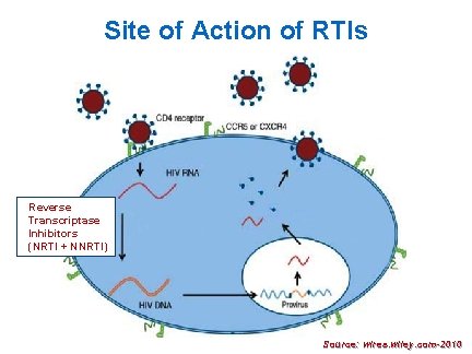 Site of Action of RTIs Reverse Transcriptase Inhibitors (NRTI + NNRTI) 11 Source: wires.