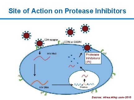 Site of Action on Protease Inhibitors (PI) 14 Source: wires. wiley. com-2010 