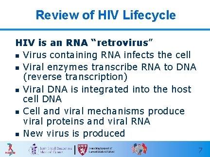 Review of HIV Lifecycle HIV is an RNA “retrovirus” n Virus containing RNA infects