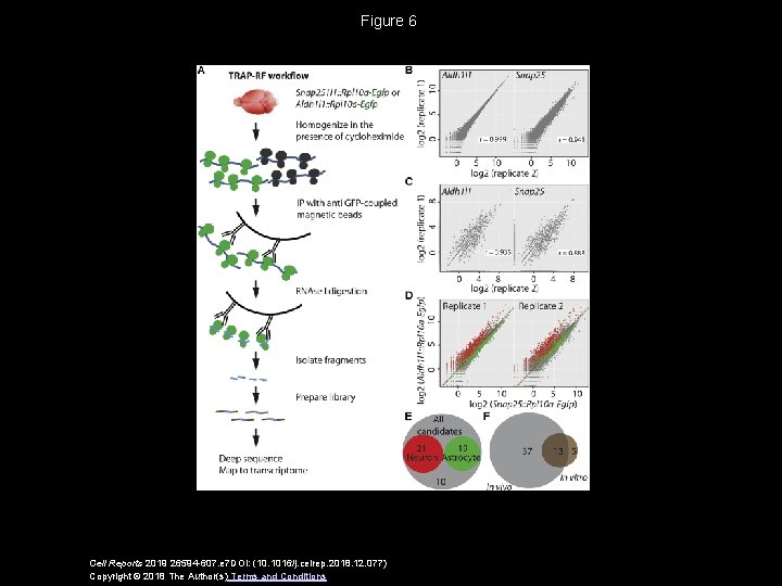 Figure 6 Cell Reports 2019 26594 -607. e 7 DOI: (10. 1016/j. celrep. 2018.