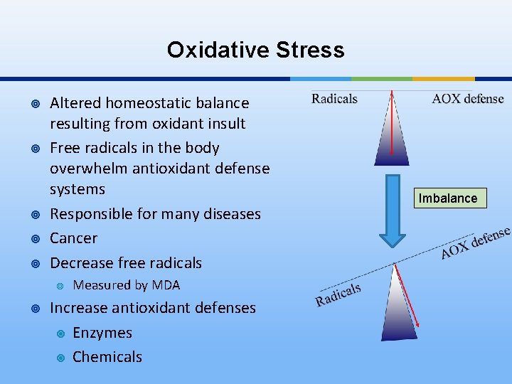 Oxidative Stress ¥ ¥ ¥ Altered homeostatic balance resulting from oxidant insult Free radicals