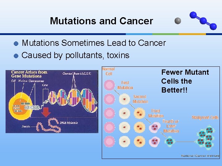 Mutations and Cancer ¥ ¥ Mutations Sometimes Lead to Cancer Caused by pollutants, toxins