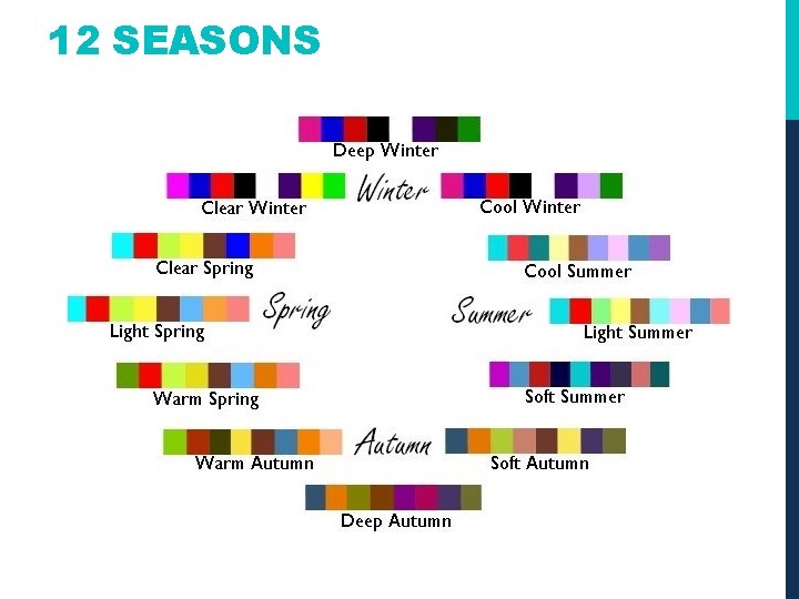 12 SEASONS 