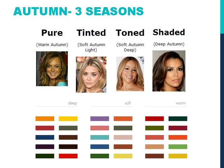 AUTUMN- 3 SEASONS 