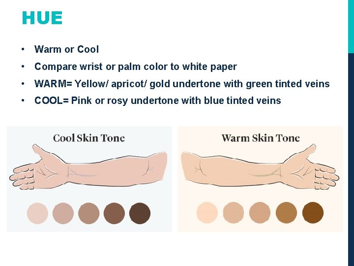 HUE • Warm or Cool • Compare wrist or palm color to white paper