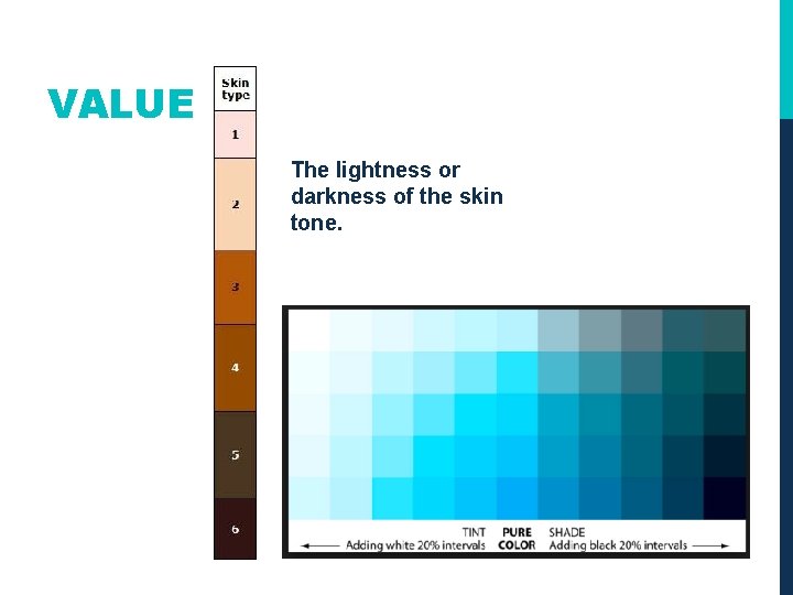 VALUE The lightness or darkness of the skin tone. 