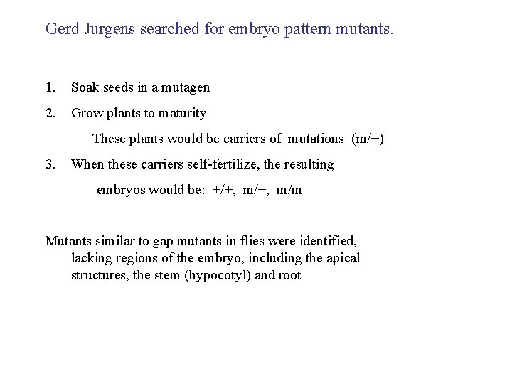 Gerd Jurgens searched for embryo pattern mutants. 1. Soak seeds in a mutagen 2.