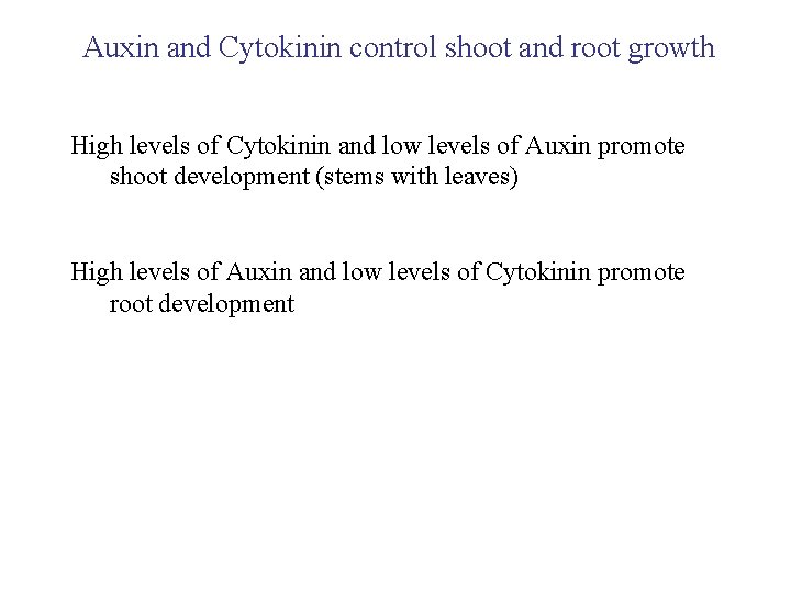 Auxin and Cytokinin control shoot and root growth High levels of Cytokinin and low