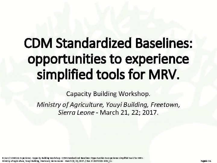 CDM Standardized Baselines: opportunities to experience simplified tools for MRV. Capacity Building Workshop. Ministry