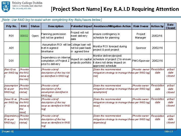 [Project Short Name] Key R. A. I. D Requiring Attention [Note: Use RAID log