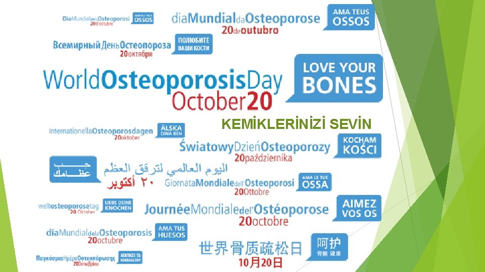 KEMİKLERİNİZİ SEVİN 