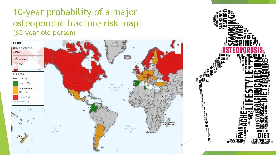 10 -year probability of a major osteoporotic fracture risk map (65 -year-old person) 