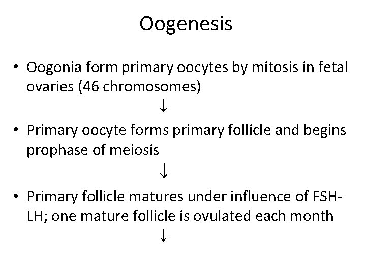 Oogenesis • Oogonia form primary oocytes by mitosis in fetal ovaries (46 chromosomes) • Oogenesis • Oogonia form primary oocytes by mitosis in fetal ovaries (46 chromosomes) •