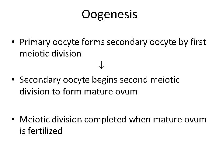 Oogenesis • Primary oocyte forms secondary oocyte by first meiotic division • Secondary oocyte Oogenesis • Primary oocyte forms secondary oocyte by first meiotic division • Secondary oocyte
