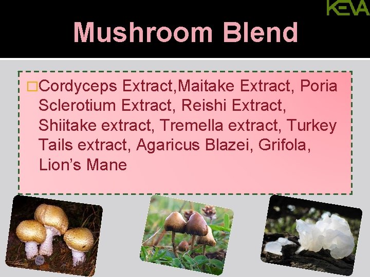 Mushroom Blend �Cordyceps Extract, Maitake Extract, Poria Sclerotium Extract, Reishi Extract, Shiitake extract, Tremella