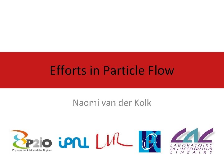 Efforts in Particle Flow Naomi van der Kolk 