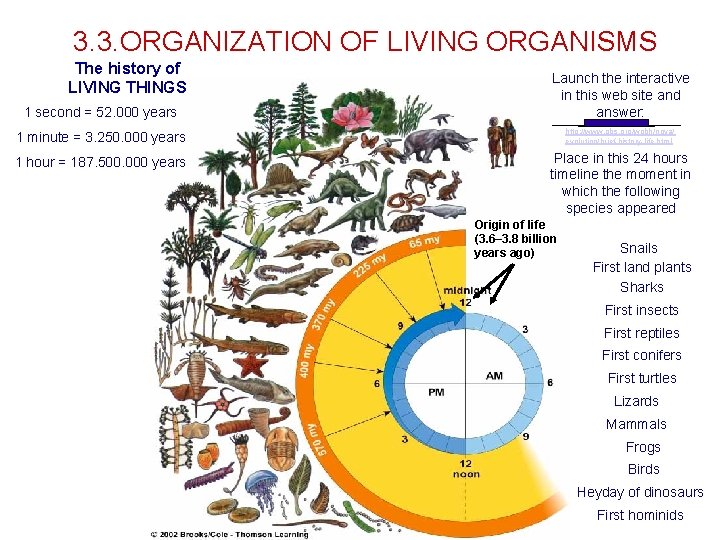 3. 3. ORGANIZATION OF LIVING ORGANISMS The history of LIVING THINGS 1 second = 3. 3. ORGANIZATION OF LIVING ORGANISMS The history of LIVING THINGS 1 second =