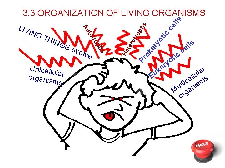 Unicell ular organis ms c hs ar y ot ic ro p ic t Unicell ular organis ms c hs ar y ot ic ro p ic t
