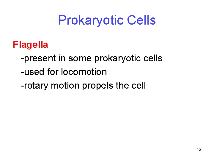 Prokaryotic Cells Flagella -present in some prokaryotic cells -used for locomotion -rotary motion propels
