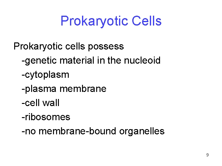 Prokaryotic Cells Prokaryotic cells possess -genetic material in the nucleoid -cytoplasm -plasma membrane -cell