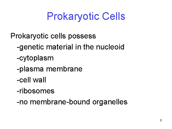 Prokaryotic Cells Prokaryotic cells possess -genetic material in the nucleoid -cytoplasm -plasma membrane -cell