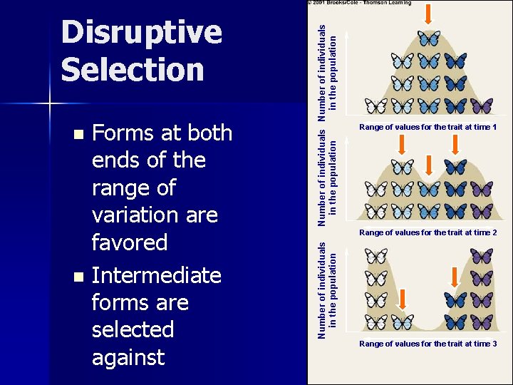 Number of individuals in the population Forms at both ends of the range of
