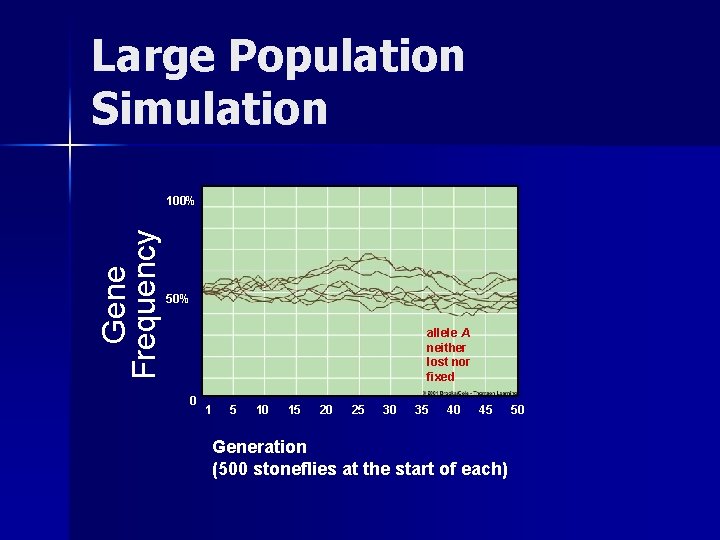 Large Population Simulation Gene Frequency 100% 50% allele A neither lost nor fixed 0
