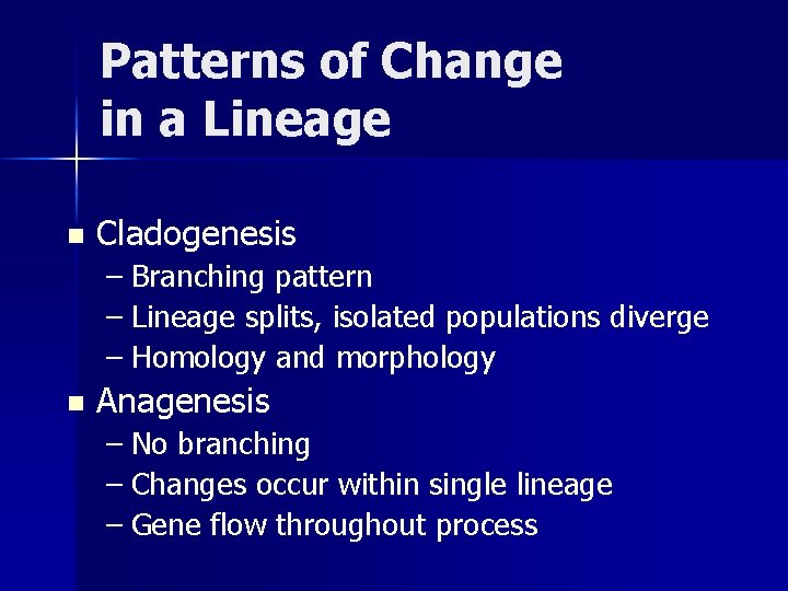 Patterns of Change in a Lineage n Cladogenesis – Branching pattern – Lineage splits,