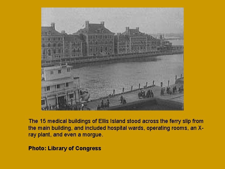 The 15 medical buildings of Ellis Island stood across the ferry slip from the