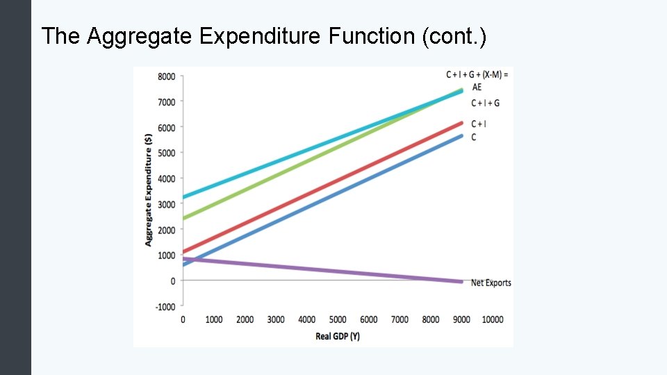 The Aggregate Expenditure Function (cont. ) 