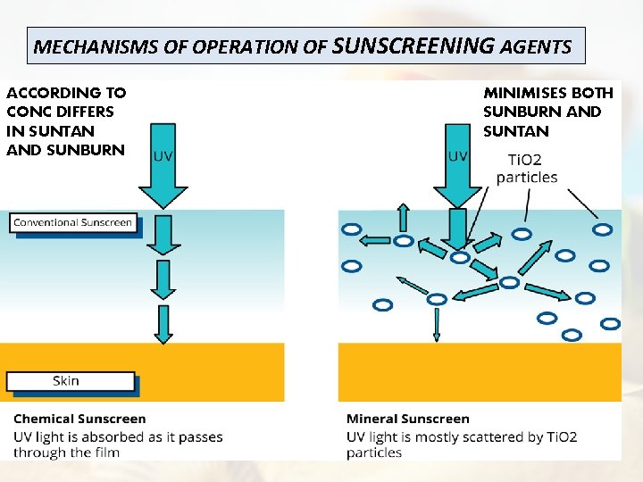 MECHANISMS OF OPERATION OF SUNSCREENING AGENTS ACCORDING TO CONC DIFFERS IN SUNTAN AND SUNBURN