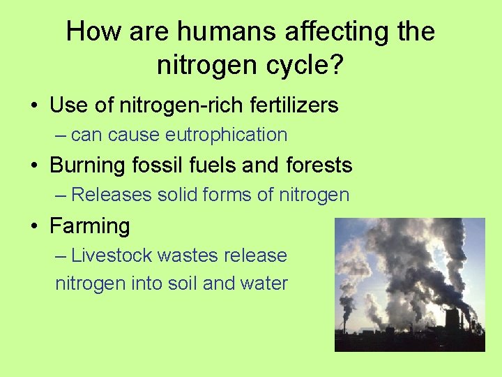 How are humans affecting the nitrogen cycle? • Use of nitrogen-rich fertilizers – can