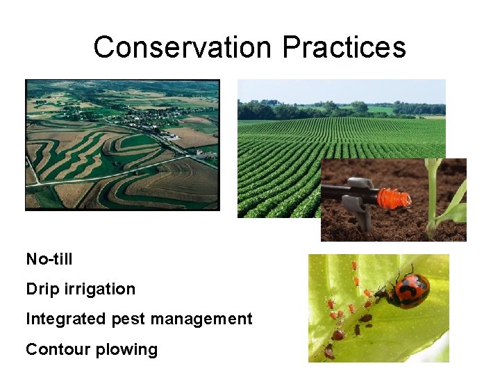Conservation Practices No-till Drip irrigation Integrated pest management Contour plowing 