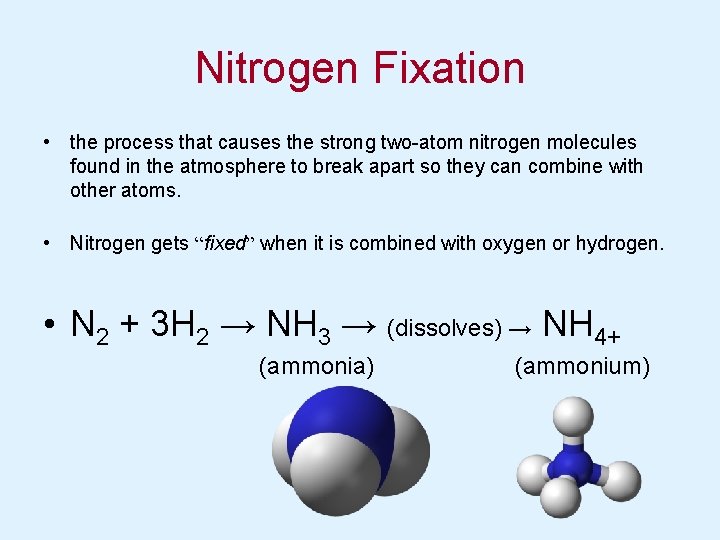 Nitrogen Fixation • the process that causes the strong two-atom nitrogen molecules found in