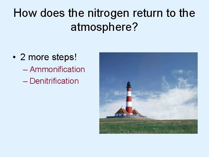 How does the nitrogen return to the atmosphere? • 2 more steps! – Ammonification