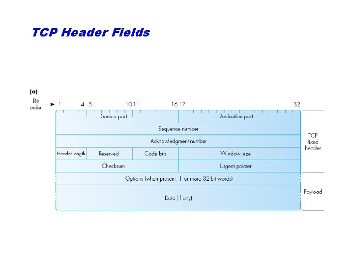 TCP Header Fields 