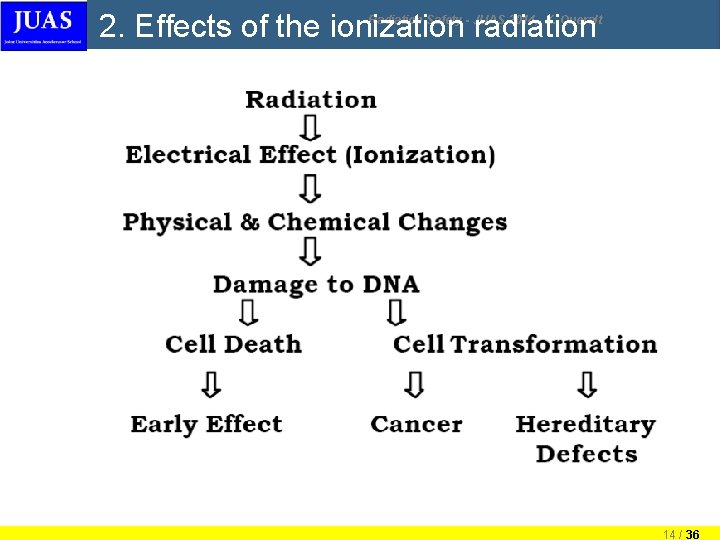 2. Effects of the ionization radiation Radiation Safety - JUAS 2014, X. Queralt 14 2. Effects of the ionization radiation Radiation Safety - JUAS 2014, X. Queralt 14