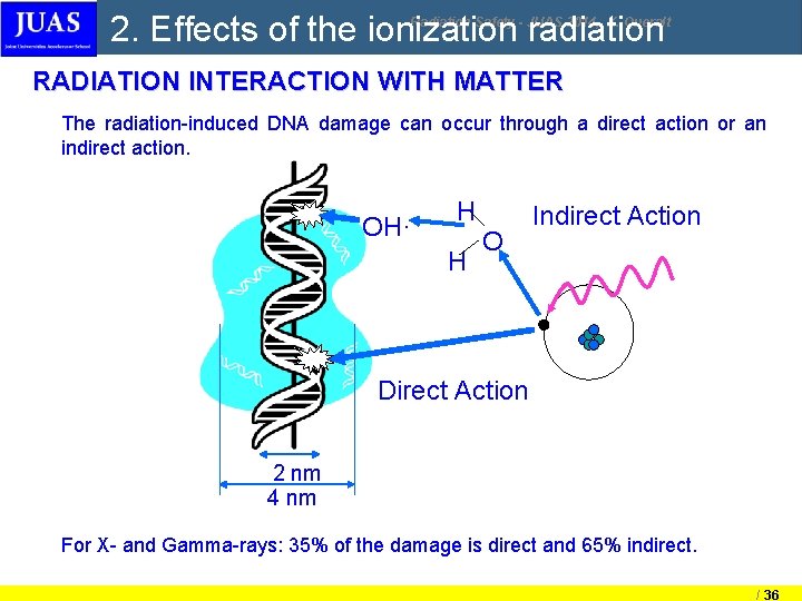 2. Effects of the ionization radiation Radiation Safety - JUAS 2014, X. Queralt RADIATION 2. Effects of the ionization radiation Radiation Safety - JUAS 2014, X. Queralt RADIATION