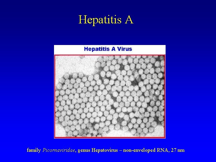 Hepatitis A family Picornaviridae, genus Hepatovirus – non-enveloped RNA, 27 nm 