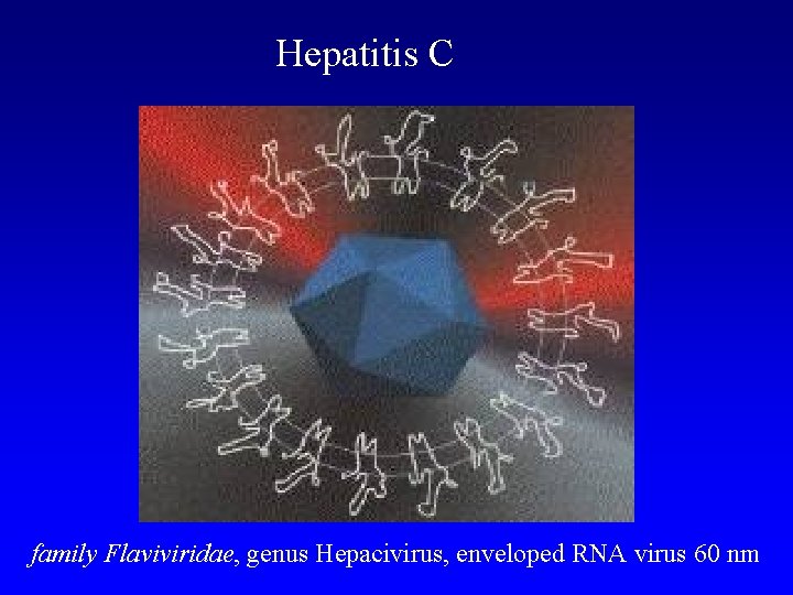 Hepatitis C family Flaviviridae, genus Hepacivirus, enveloped RNA virus 60 nm 