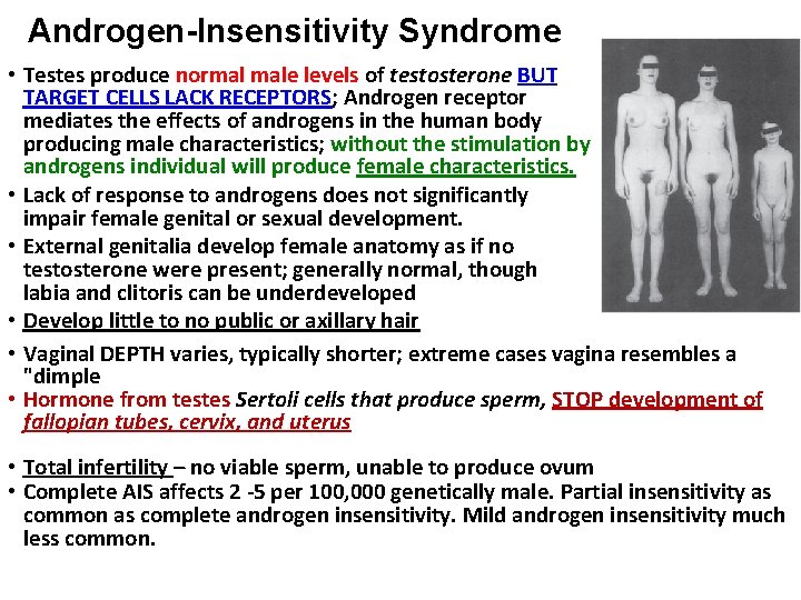 Androgen-Insensitivity Syndrome • Testes produce normal male levels of testosterone BUT TARGET CELLS LACK